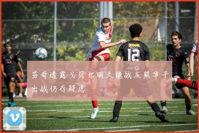 芬奇透露戈贝尔明天能战灰熊华子出战仍存疑虑