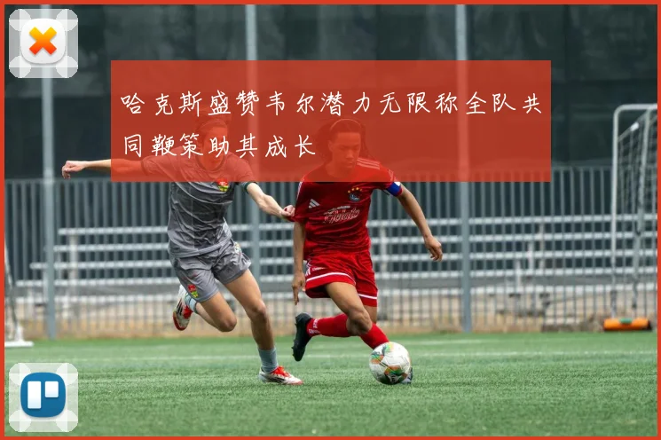 哈克斯盛赞韦尔潜力无限称全队共同鞭策助其成长