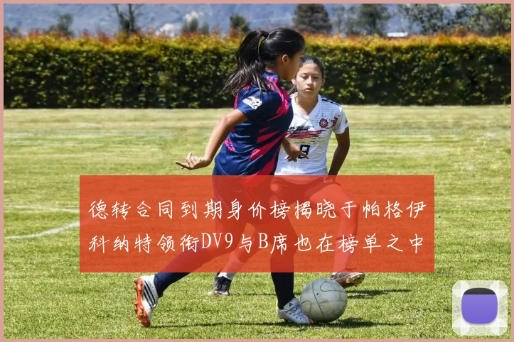 德转合同到期身价榜揭晓于帕格伊科纳特领衔DV9与B席也在榜单之中