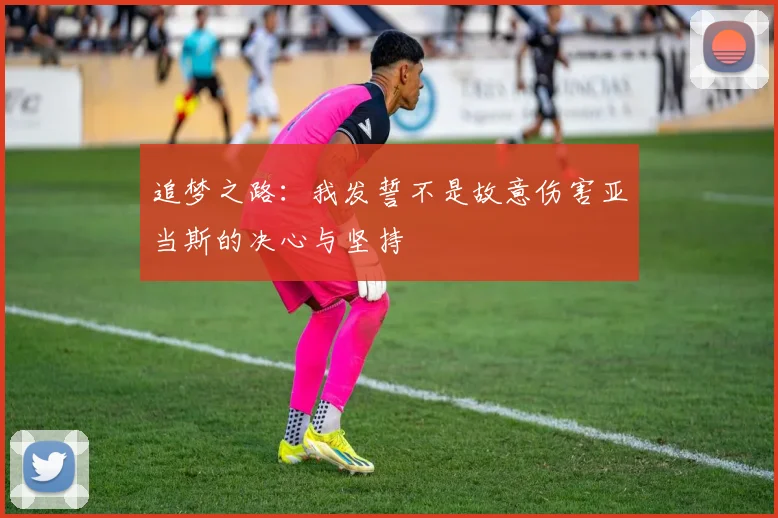追梦之路：我发誓不是故意伤害亚当斯的决心与坚持
